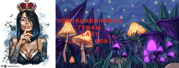 мяу мяу мука Павлово